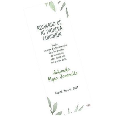 Fol0091-  Registro - Folio Plantas