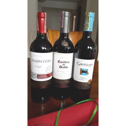 Bolsa, etiqueta y tarjeta para vino - ángel