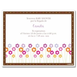 b0017 S - Invitaciones - Baby Shower