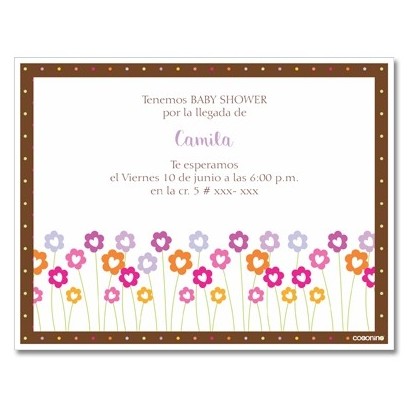 b0017 S - Invitaciones - Baby Shower